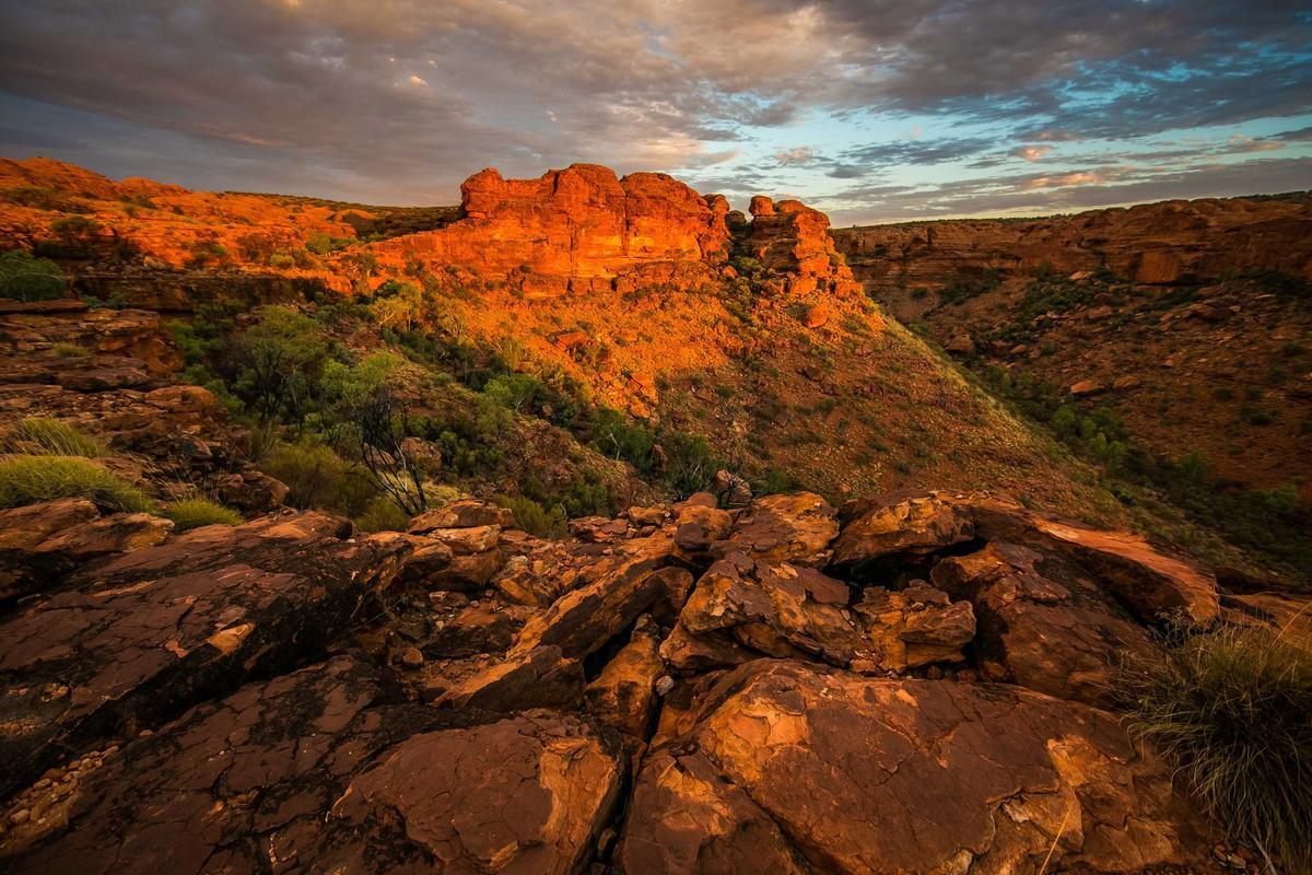 Pranayama & Kriya